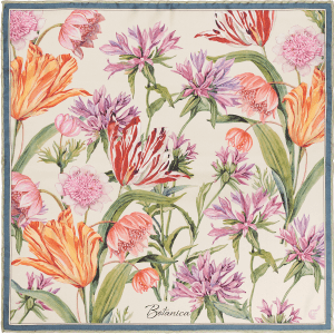 Pochette Botanica