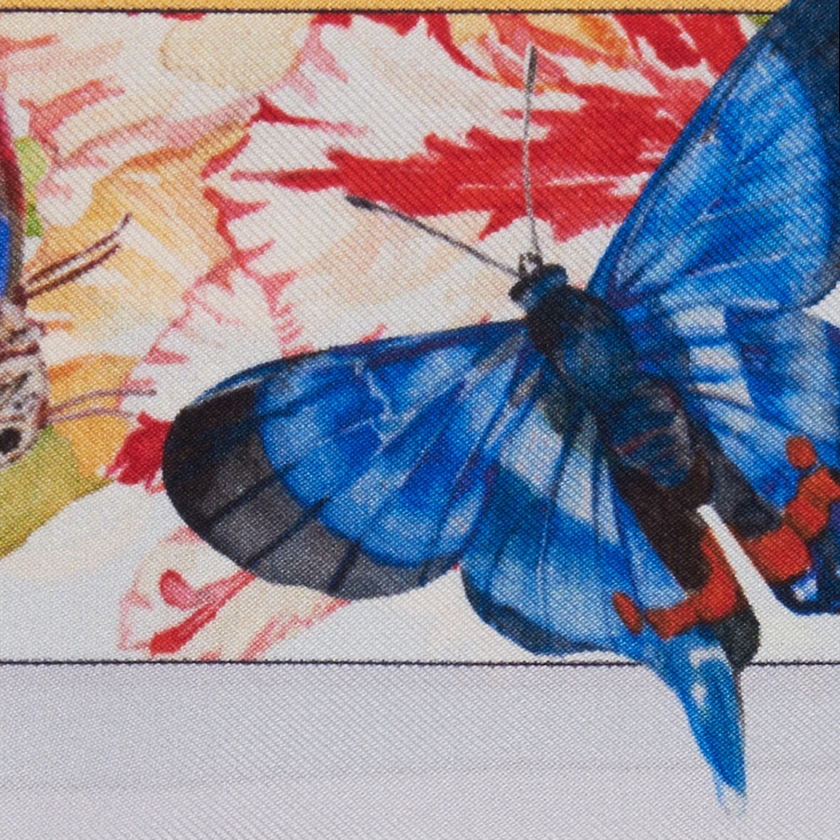 Bandeau Giardini d’Italia – Butterfly